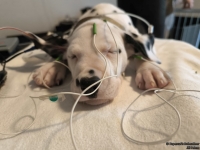 IMG_20250215_123521_web