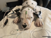 IMG_20250215_123523_web