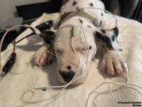 IMG_20250215_123525_web