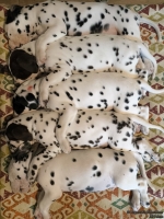 IMG_20250215_123730_web