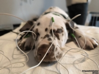 IMG_20250215_124208_web