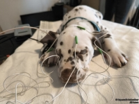 IMG_20250215_124210_web