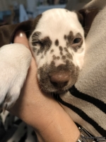 IMG_20250215_124748_web