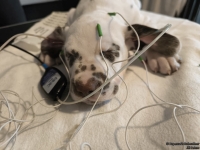 IMG_20250215_124831_web