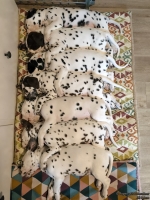 IMG_20250215_125041_web