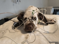 IMG_20250215_125242_web