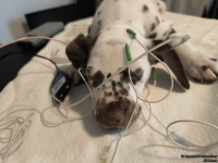 IMG_20250215_125243_web