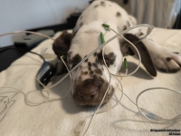 IMG_20250215_125244_web