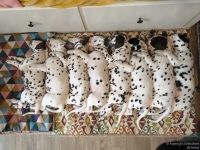 IMG_20250215_125556_web