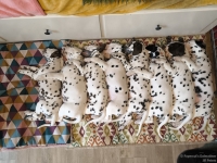 IMG_20250215_125559_web