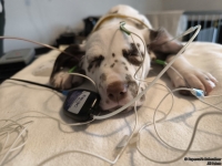 IMG_20250215_130118_web