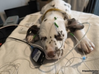 IMG_20250215_130120_web