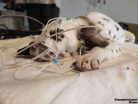 IMG_20250215_130122_web