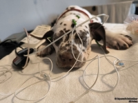 IMG_20250215_130644_web