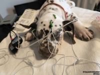 IMG_20250215_130646_web