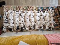 IMG_20250215_130724_web