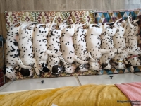 IMG_20250215_130730_web