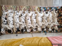 IMG_20250215_130732_web