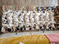 IMG_20250215_130734_web