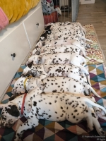 IMG_20250215_130752_web