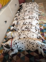 IMG_20250215_130757_web