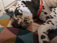 IMG_20250215_130801_web