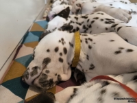 IMG_20250215_130803_web