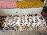 IMG_20250215_131806_web