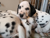 IMG_20250215_132353_web