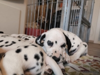 IMG_20250215_132359_web