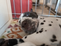 IMG_20250215_132410_web