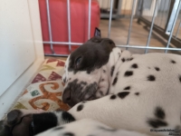 IMG_20250215_132411_web