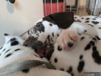 IMG_20250215_132415_web