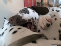 IMG_20250215_132417_web