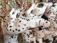 IMG_20250215_133902_web