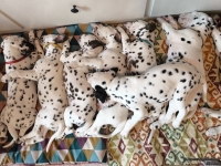 IMG_20250215_133914_web