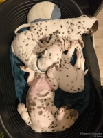 IMG_20250212_203344_web