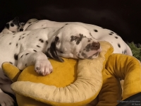 IMG_20250212_203400_web