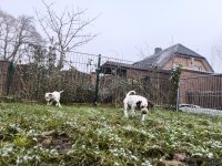 IMG_20250213_145728_web