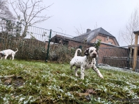 IMG_20250213_145730_1_web