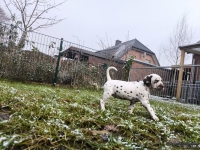 IMG_20250213_145731_web