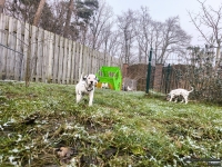 IMG_20250213_145732_web