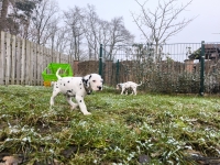 IMG_20250213_145733_web