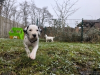 IMG_20250213_145735_web