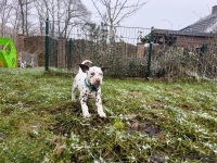 IMG_20250213_145740_web