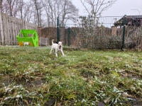 IMG_20250213_145743_web