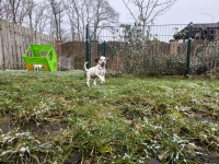 IMG_20250213_145744_web