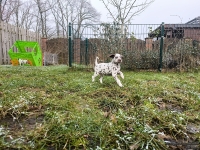 IMG_20250213_145745_web