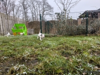 IMG_20250213_145750_1_web