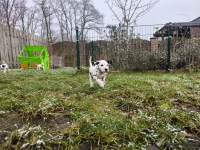 IMG_20250213_145751_1_web